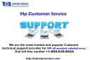 HP Help Number +1-855-635-8524 logo